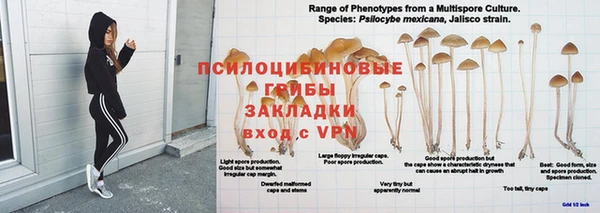 мдпв Армянск