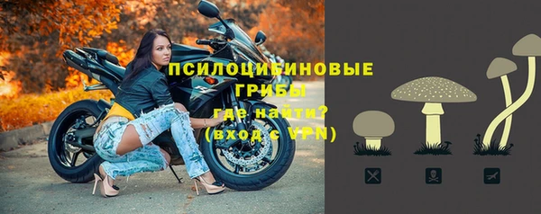 мдпв Армянск