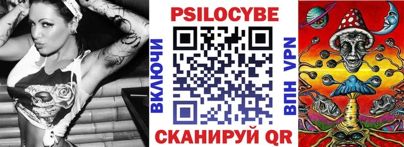 Псилоцибиновые грибы Psilocybine cubensis  закладка  Буинск 